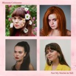 Perfect Too Chords by Blossom Caldarone