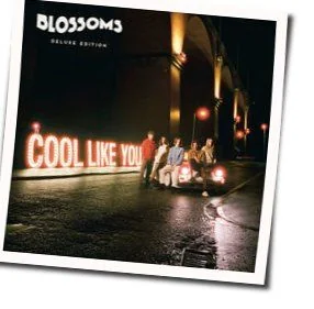 There's A Reason Why I Never Returned Your Calls Chords by The Blossoms