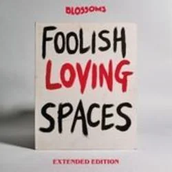 Under The Sun Chords by The Blossoms