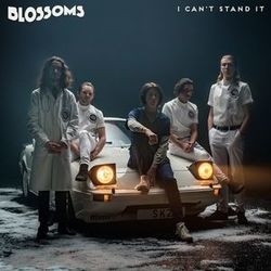 I Can't Stand It Bass tabs by The Blossoms