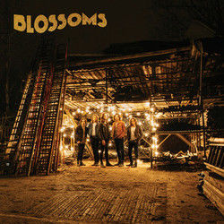 Texia Intro by The Blossoms