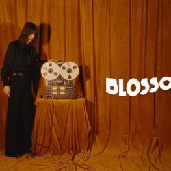 The Honeymoon by The Blossoms