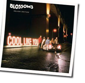 There's A Reason Why (i Never Returned Your Calls) by The Blossoms