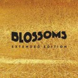 Wretched Fate Chords by The Blossoms