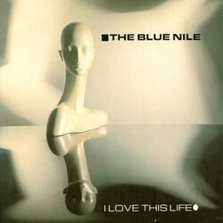 I Love This Life Bass Tab by The Blue Nile