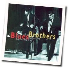 Shake Your Tailfeather Bass Tab by The Blues Brothers