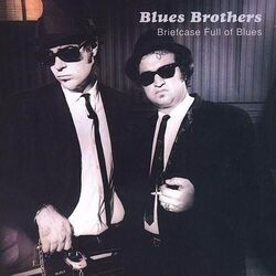 I Don't Know Chords by The Blues Brothers