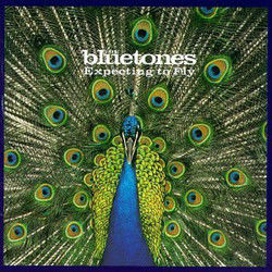 Fountainhead Chords by The Bluetones