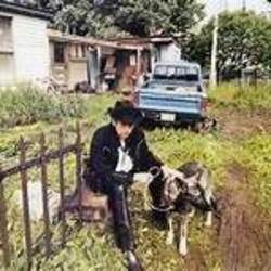 If Dogs Run Free Chords by Bob Dylan