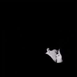 Too Much Is Never Enough Chords by Bob Moses