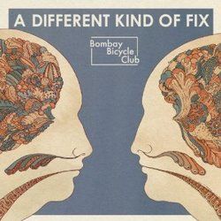 Fracture by Bombay Bicycle Club