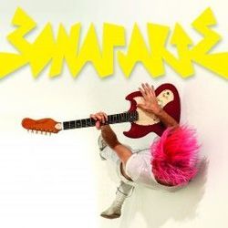 Into The Wild Acoustic Chords by Bonaparte