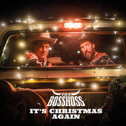 The Bosshoss