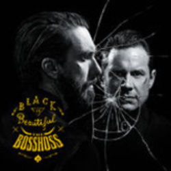 She Chords by The Bosshoss