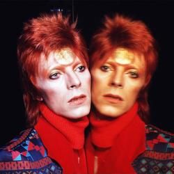 The Bewley Brothers by David Bowie