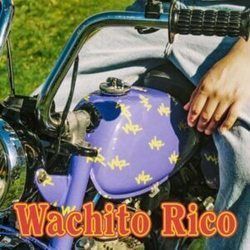 Wachito Rico Bass tabs by Boy Pablo
