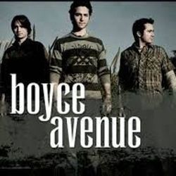 Blackbird Chords by Boyce Avenue