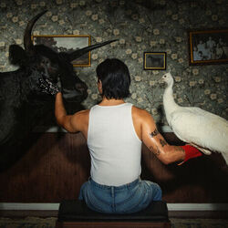 Boylife chords for Brownie