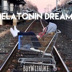 Lovely Ukulele Chords by BoyWithUke