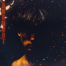 Petrichor Interlude Tabs by BoyWithUke