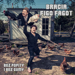 Wojownicy Wódy Chords by Bracia Figo Fagot