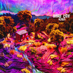 Now She Ain't Chords by Brad Cox
