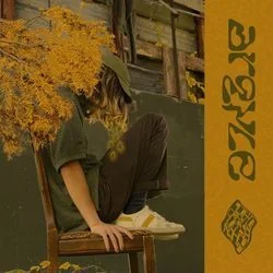 Argyle Chords by Brakence
