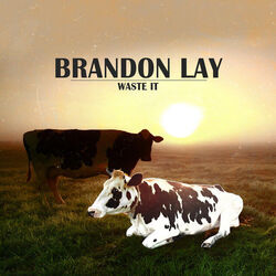 Brandon Lay chords for Waste it