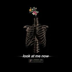 Look At Me Now Tabs by Brennan Savage