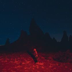 Punisher Tab by Phoebe Bridgers