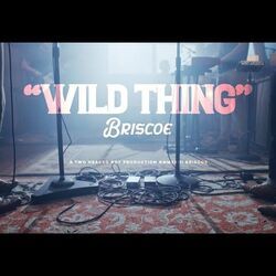 Wild Thing Chords by Briscoe