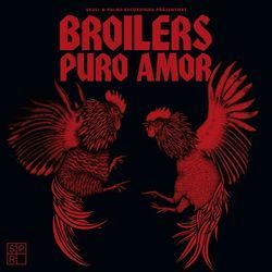 Nicht Alles Endet Irgendwann Chords by Broilers