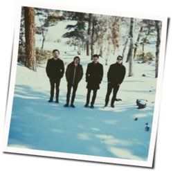They Run They Hide Chords by Brolly