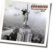 Sammys Song Chords by David Bromberg