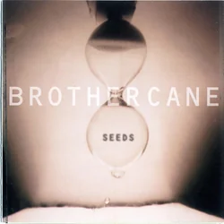 And Fools Shine On Bass Tab by Brother Cane