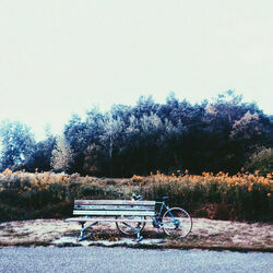 Darling Baby Doll Tab by Brotherkenzie