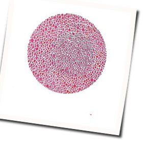 An Abundance Of Strawberries Chords by Julia Brown