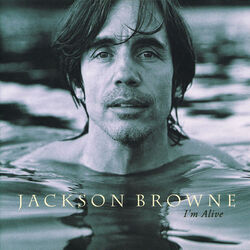 I'm The Cat Chords by Jackson Browne