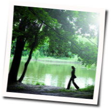 Comme Si De Rien N Etait Album Chords by Carla Bruni