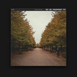 Regents Park Bass Tab by Bruno Major