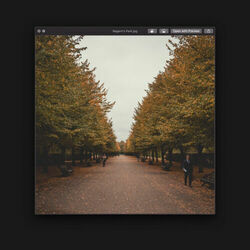 Regents Park Bass Tab by Bruno Major