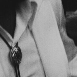 Cha Cha Cha by Bruno Mars