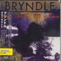 Nothing Love Can't Do Chords by Bryndle