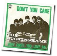 Don't You Care by The Buckinghams