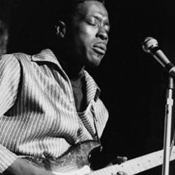 Flesh And Bone by Buddy Guy