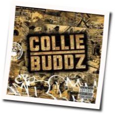 Blind To You Chords by Collie Buddz