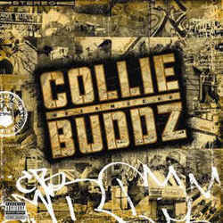 Love And Reggae by Collie Buddz