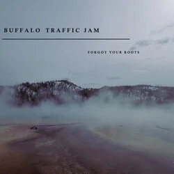 Forgot Your Roots Chords by Buffalo Traffic Jam