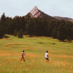 Comfort In Misery Chords by Buffalo Traffic Jam