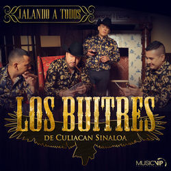 Solo Chords by Buitres